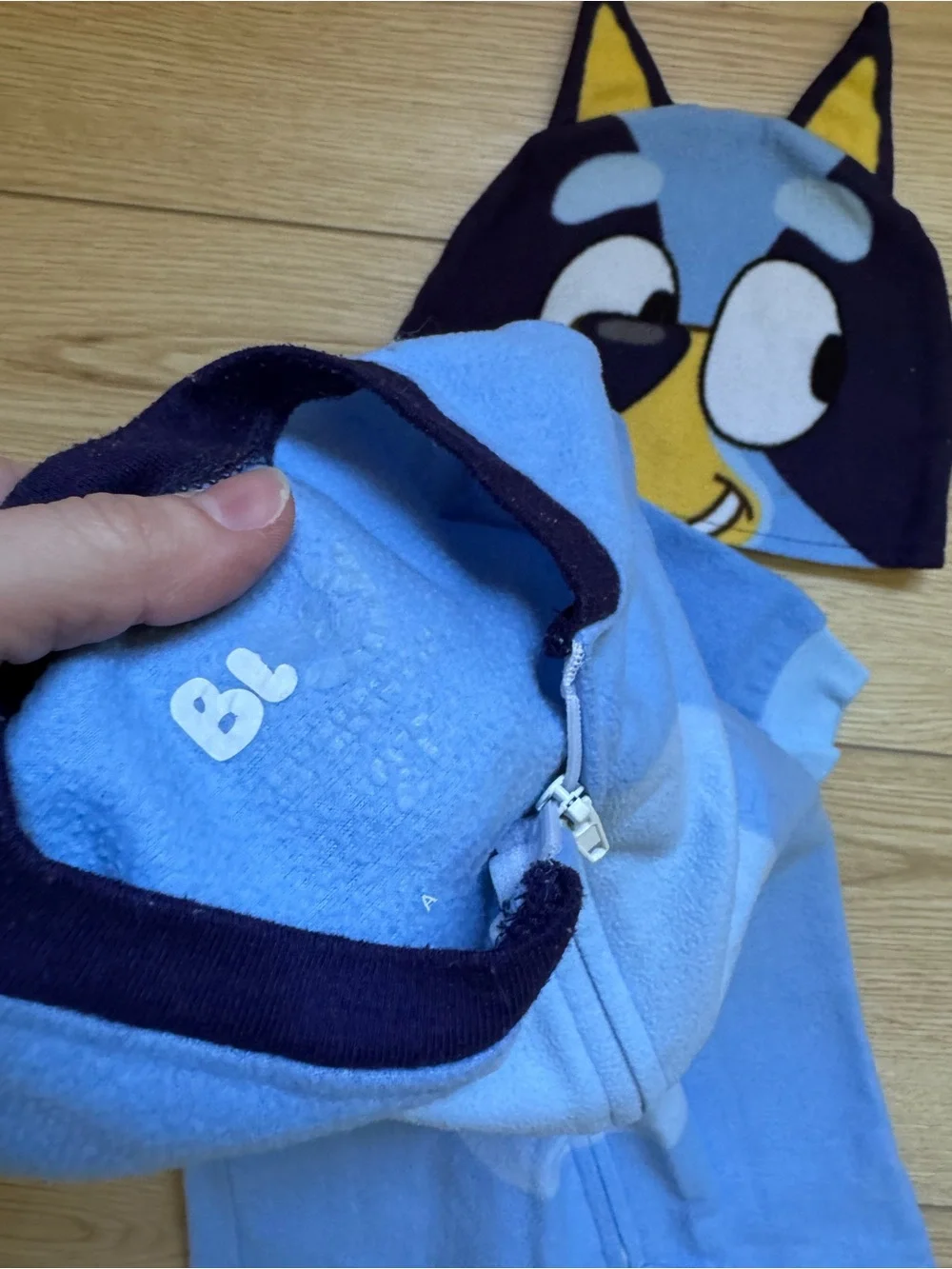 bluey outfit size 2t